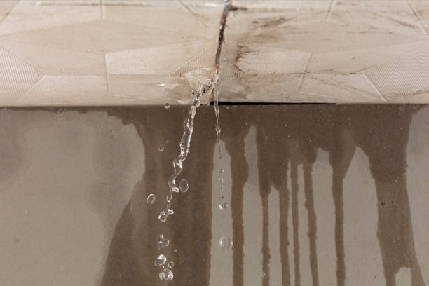 Professional Burst Pipe Cleanup technician working in Davin, WV